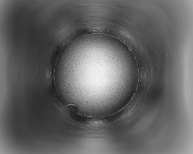 X0000089900749200707051307