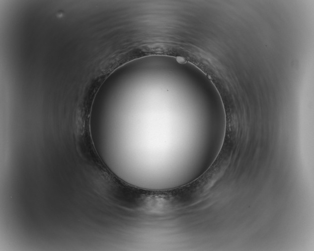 X0000089900751200707051307
