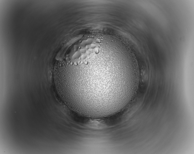 X0000089900753200707051307