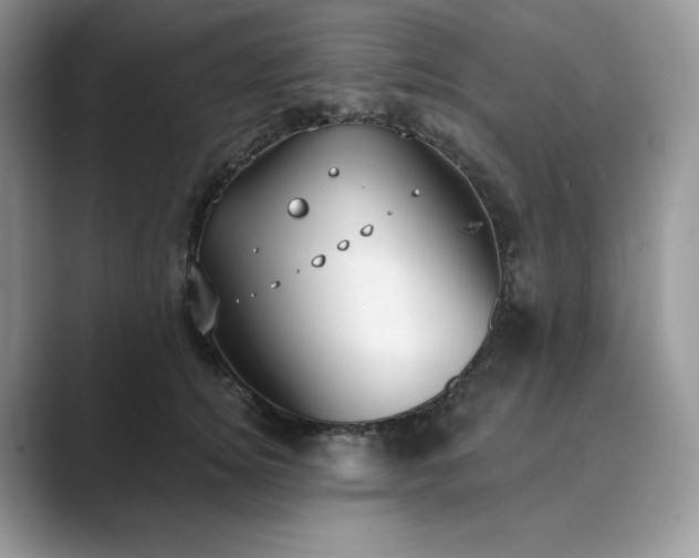 X0000089900756200707051307