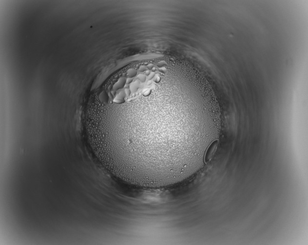 X0000089900757200707051307