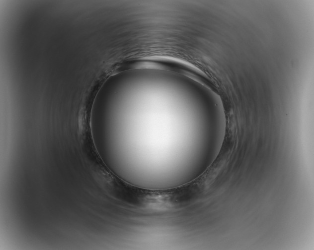 X0000089900760200707051307