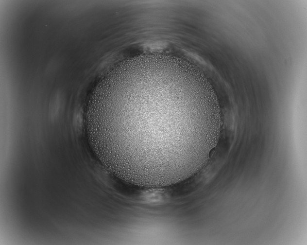 X0000089900761200707051307
