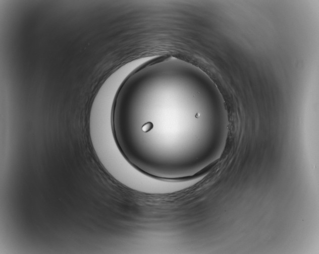 X0000089900762200707051307