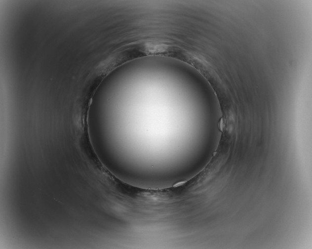 X0000089900763200707051308