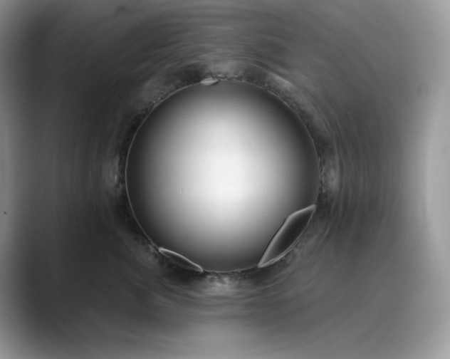 X0000089900764200707051308