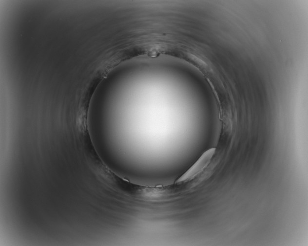 X0000089900766200707051308