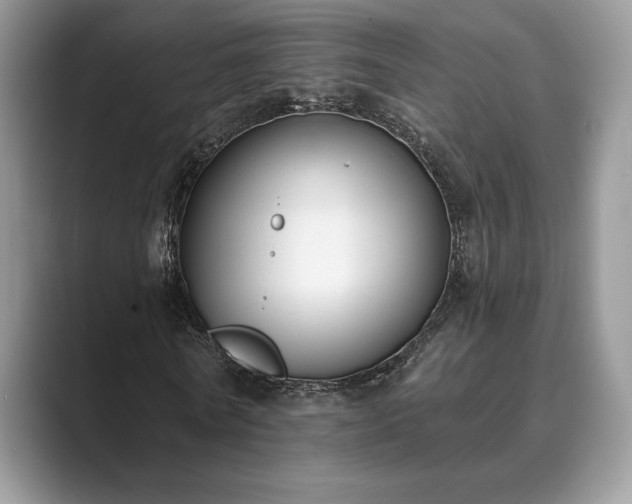 X0000089900770200707051307
