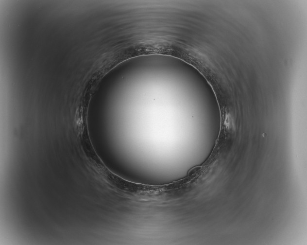 X0000089900771200707051307