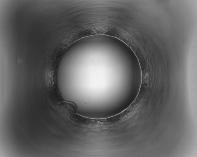 X0000089900772200707051307