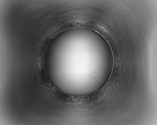 X0000089900774200707051307