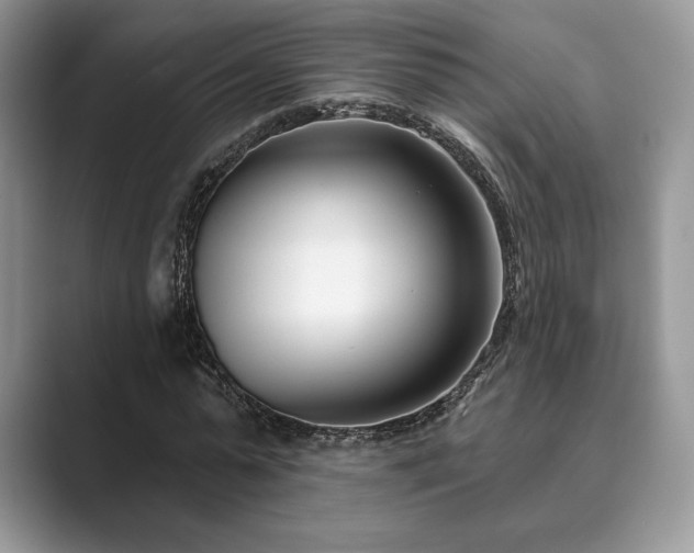 X0000089900775200707051307