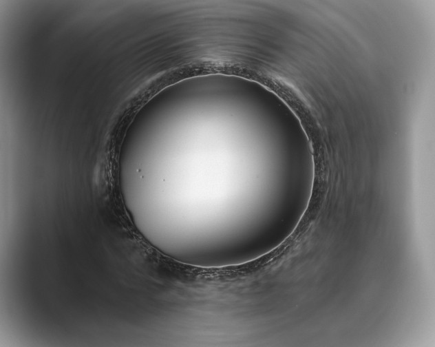 X0000089900776200707051307
