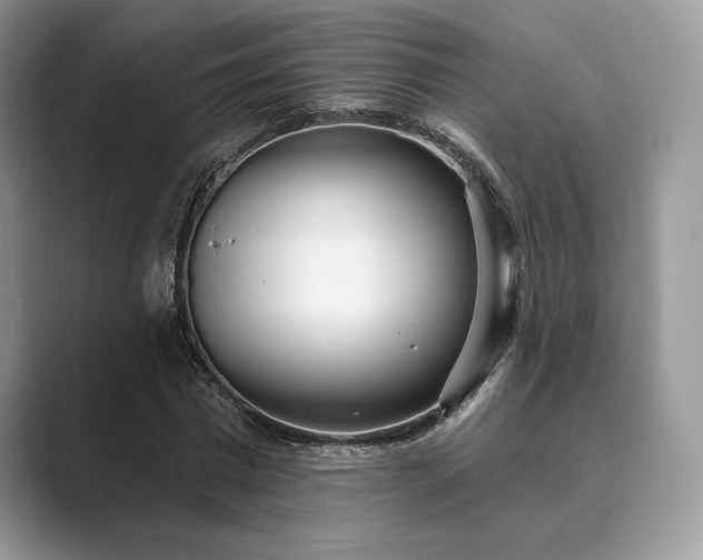 X0000089900777200707051307