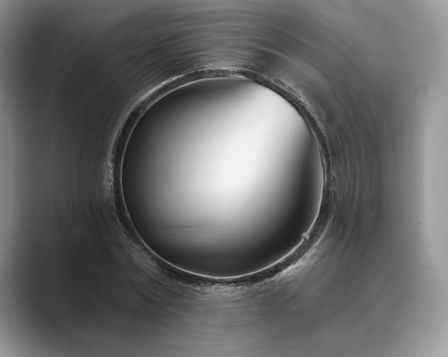 X0000089900779200707051307