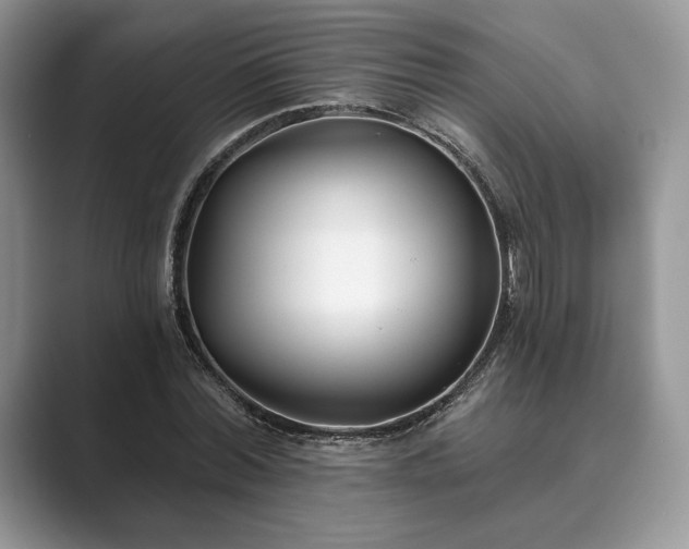 X0000089900780200707051307