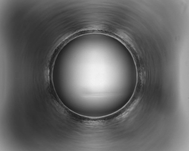 X0000089900781200707051307