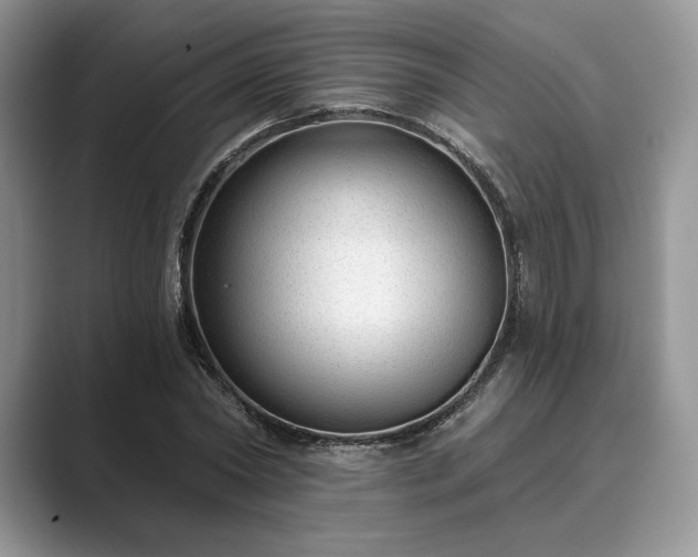 X0000089900782200707051307