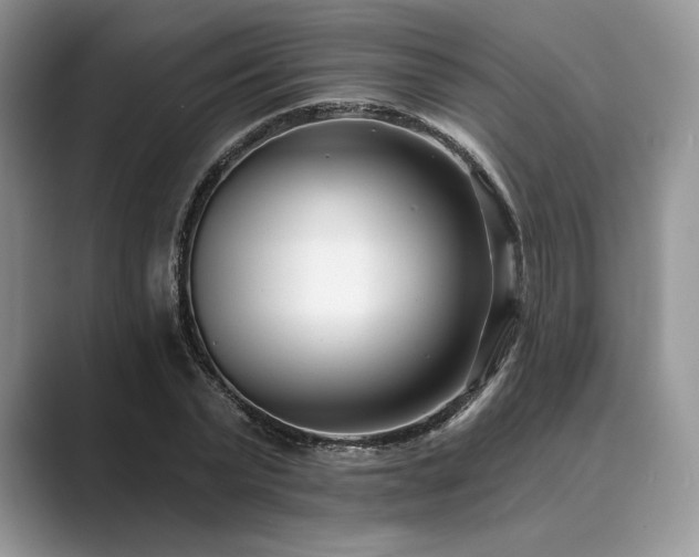 X0000089900783200707051307