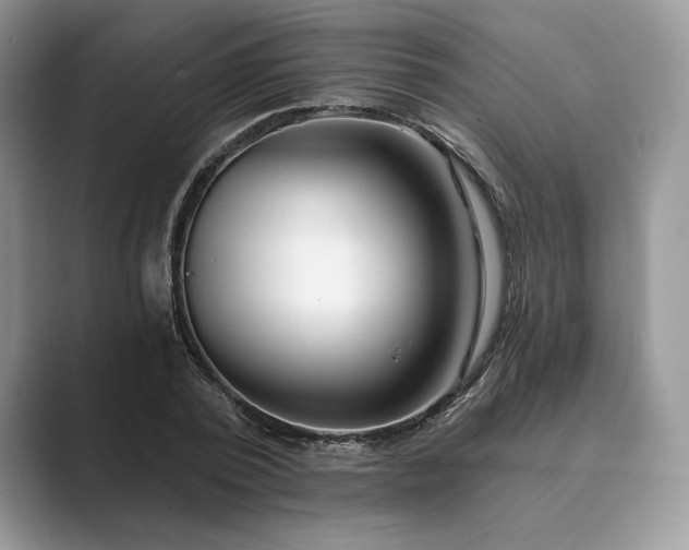 X0000089900784200707051307