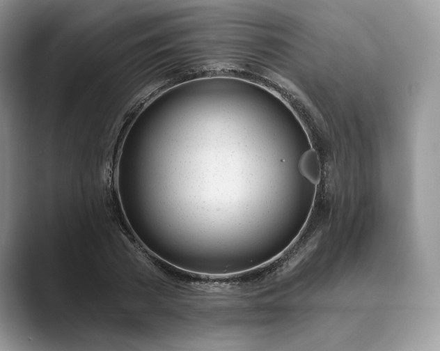 X0000089900785200707051307