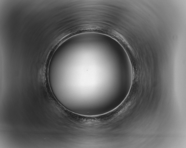 X0000089900786200707051307