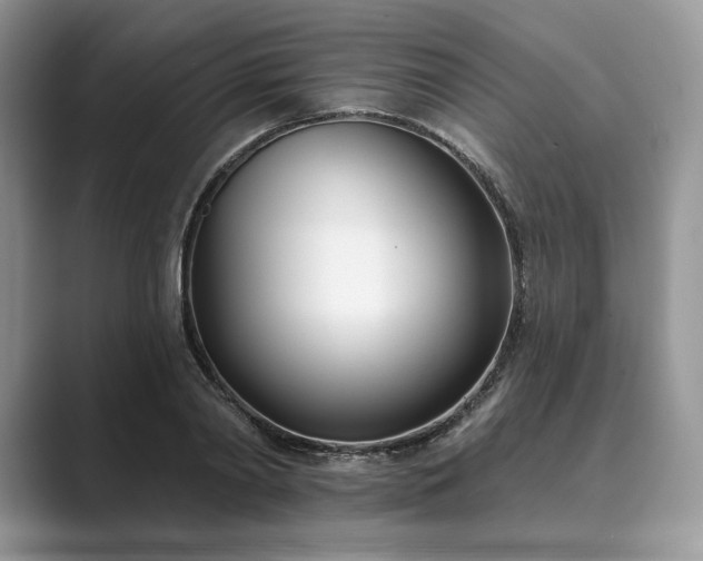 X0000089900790200707051307