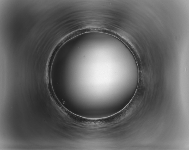 X0000089900791200707051307
