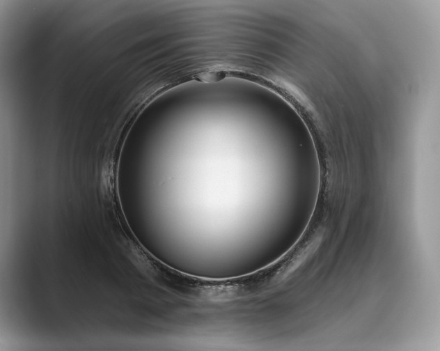 X0000089900793200707051307