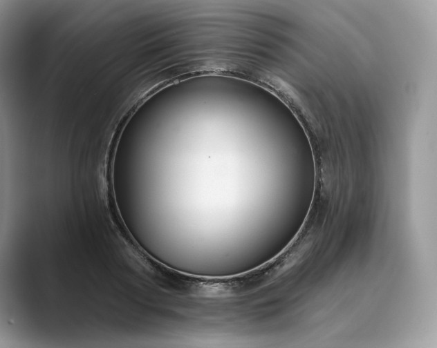 X0000089900794200707051307