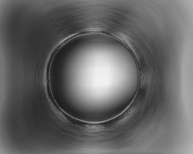 X0000089900795200707051307