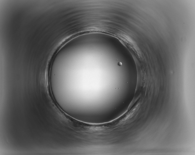 X0000089900796200707051307