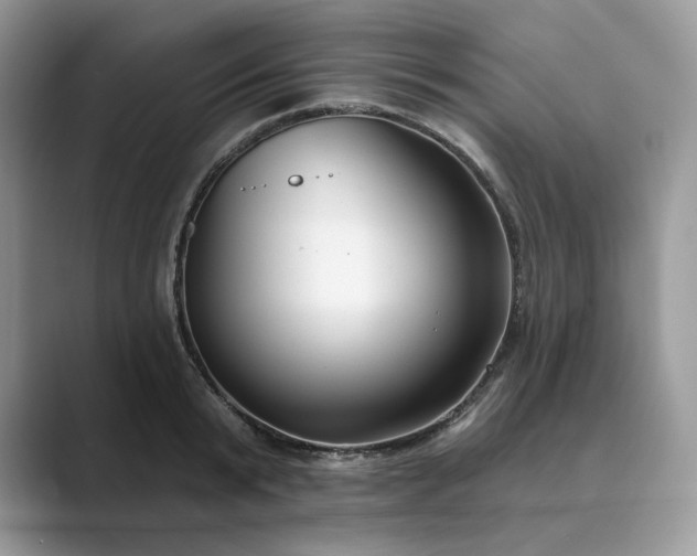X0000089900799200707051307