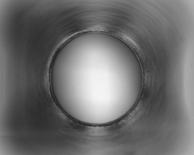 X0000089900800200707051307