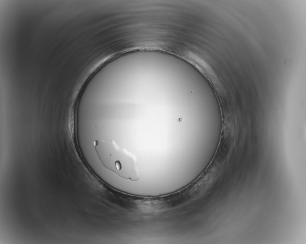 X0000089900804200707051307