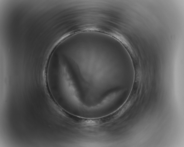X0000089900806200707051307