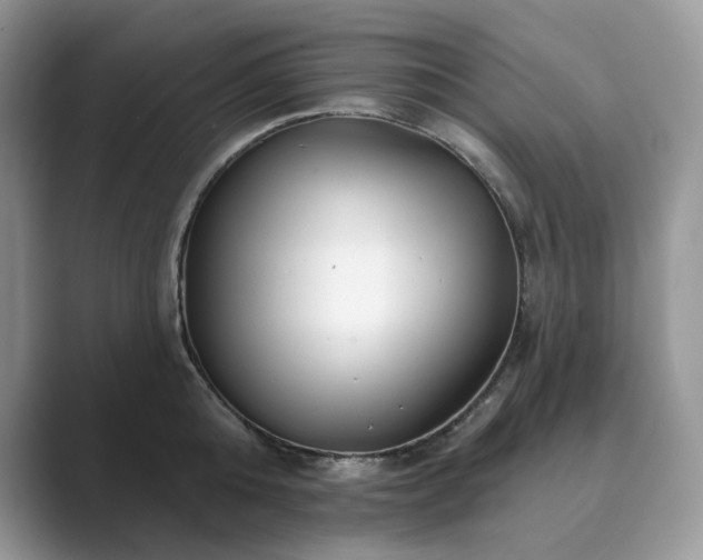 X0000089900808200707051307