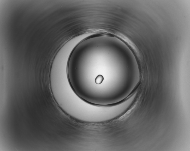 X0000089900809200707051307