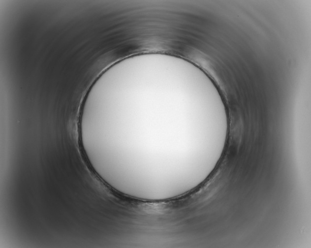 X0000089900810200707051307
