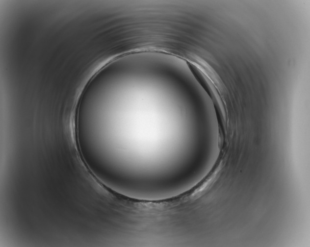 X0000089900812200707051306