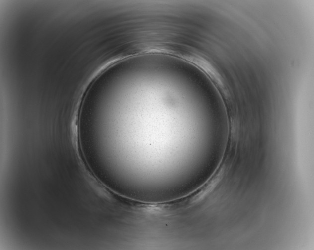 X0000089900814200707051306