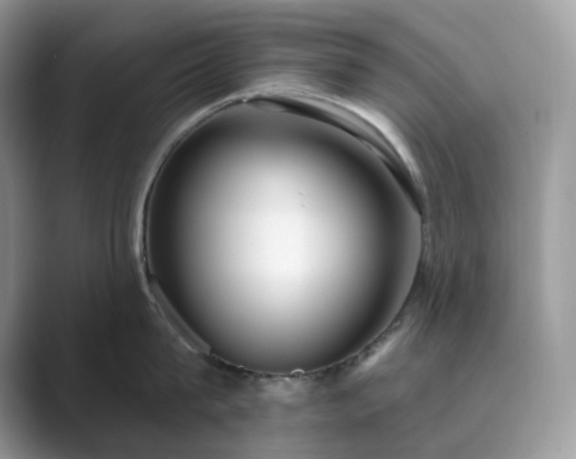 X0000089900815200707051306