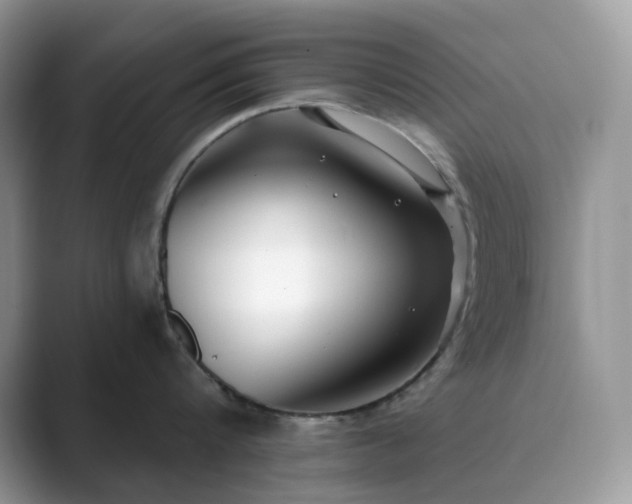 X0000089900816200707051306