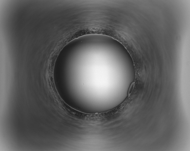 X0000089900817200707051306