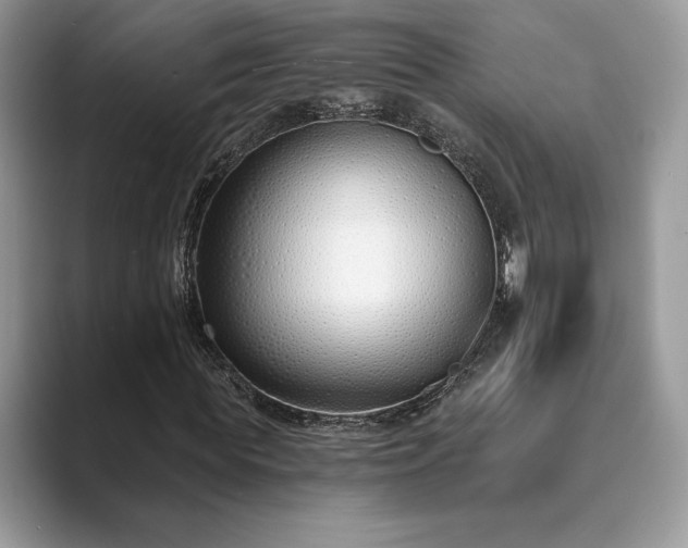 X0000089900819200707051306