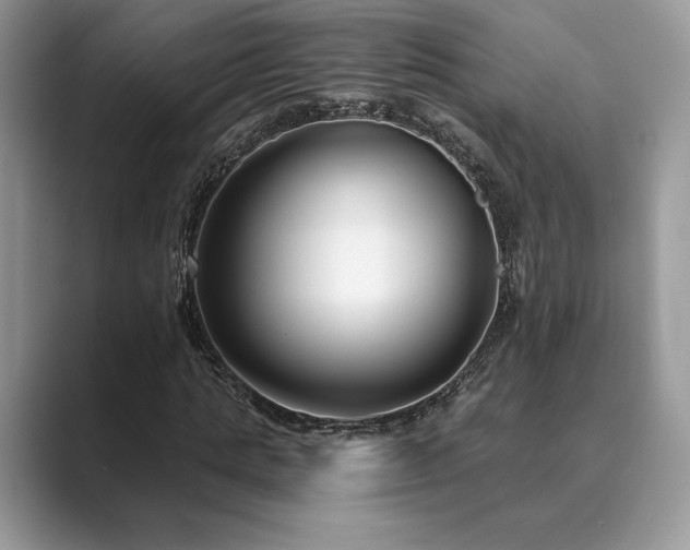 X0000089900821200707051306