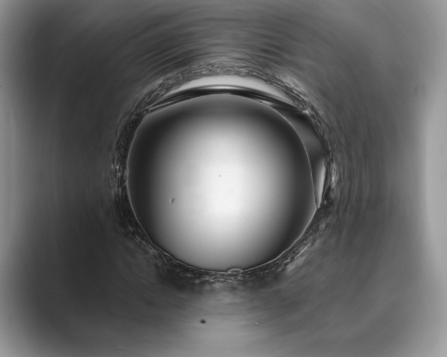 X0000089900822200707051306