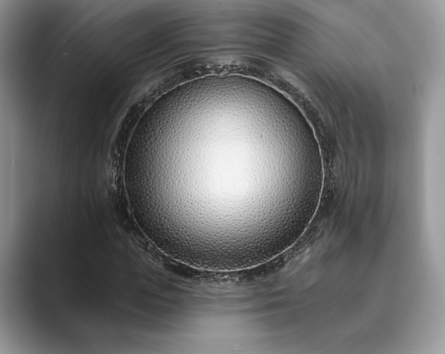 X0000089900823200707051306