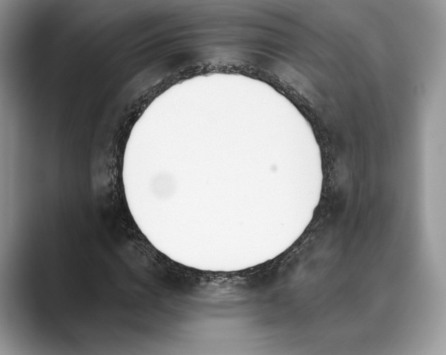 X0000089900824200707051306