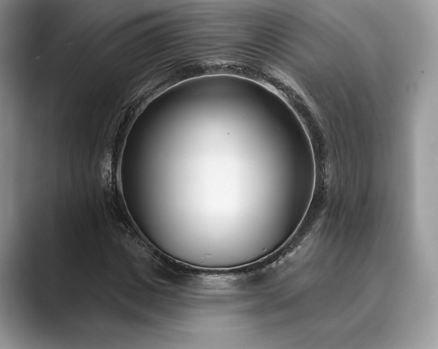 X0000089900825200707051306
